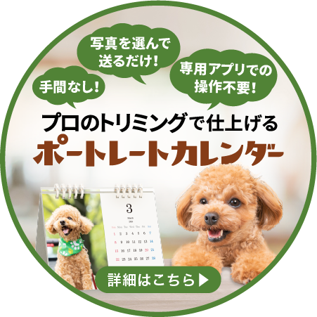 2026ポートレートカレンダー