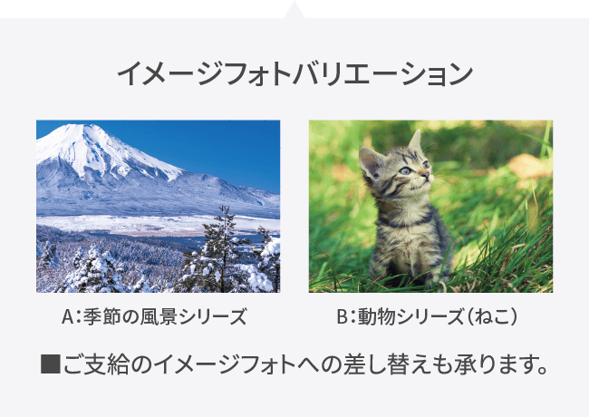 イメージフォトバリーション