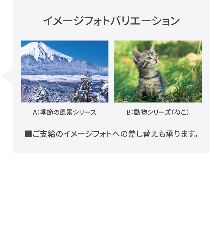 イメージフォトバリーション